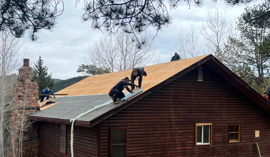 Roof Repair & Maintenance Services Roof Repair & Maintenance Services