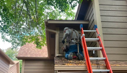 Siding Replacement Services